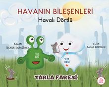 Havali Dörtlü / Tarla Faresi