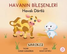 Havalı Dörtlü / Sarıkız