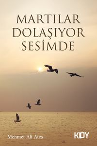Martılar Dolaşıyor Sesimde