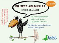 Bilmece Abi Bunlar