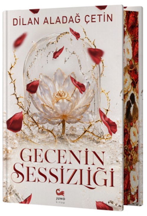 Gecenin Sessizliği (Ciltli)