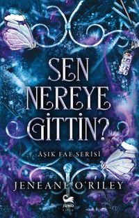 Sen Nereye Gittin?
