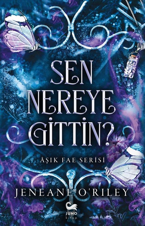 Sen Nereye Gittin?