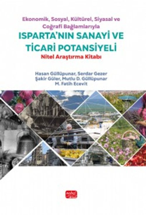 Ekonomik, Sosyal, Kültürel, Siyasal ve Coğrafi Bağlamlarıyla Isparta'nın Sanayi ve Ticari Potansiyeli