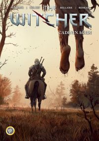 The Witcher Cilt 6: Cadının Ağıdı
