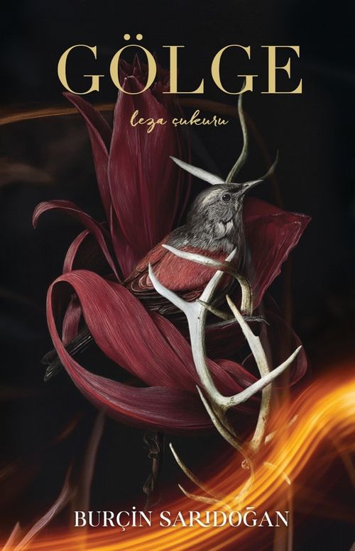 Gölge / Leza Çukuru (Ciltli)