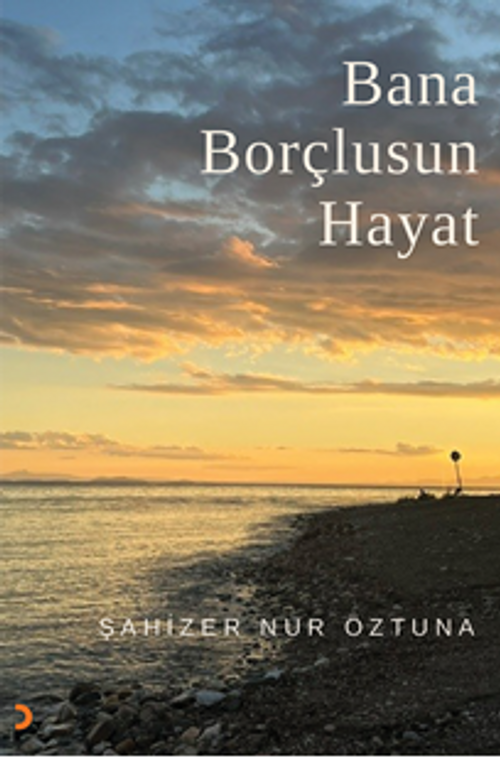 Bana Borçlusun Hayat