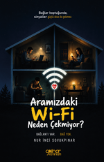 Aramızdaki Wi-Fi Neden Çekmiyor?