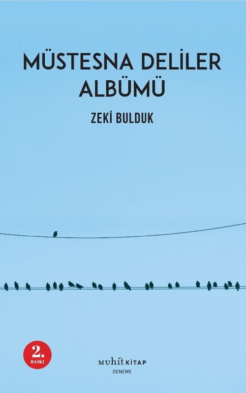 Müstesna Deliler Albümü