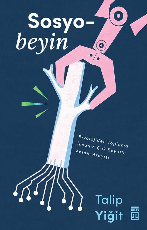 Sosyobeyin