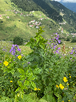 yazmaz.okur