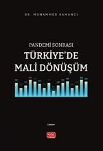 Pandemi Sonrası Türkiye'de Mali Dönüşüm