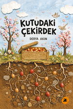 Kutudaki Çekirdek