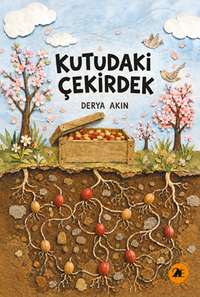 Kutudaki Çekirdek