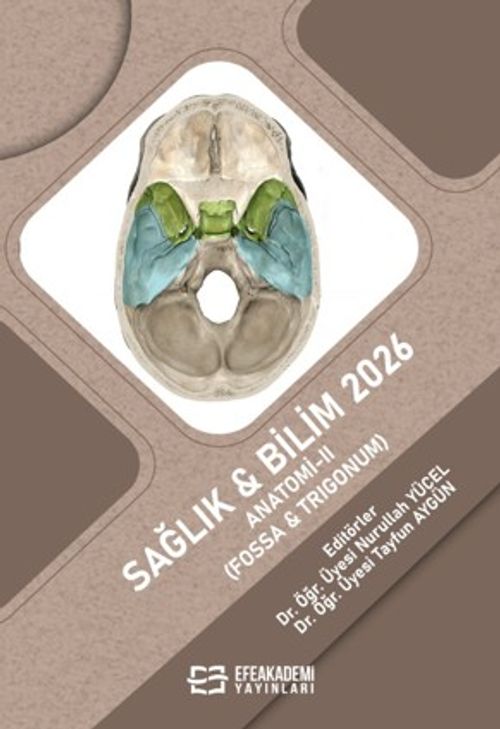 Sağlık - Bilim 2026:  Anatomi-II (Fossa & Trigonum)