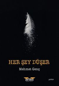 Her Şey Düşer