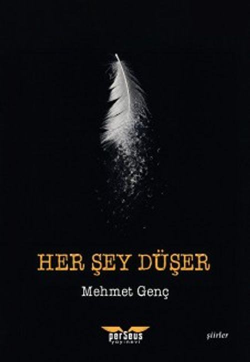 Her Şey Düşer