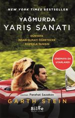 Yağmurda Yarış Sanatı