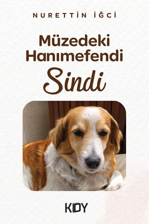 Müzedeki Hanımefendi, Sindi