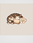 İçimdeki Müzik Sticker Seti