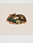 Kuyucaklı Yusuf Sticker Seti