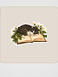 Muhabbet Sticker Seti