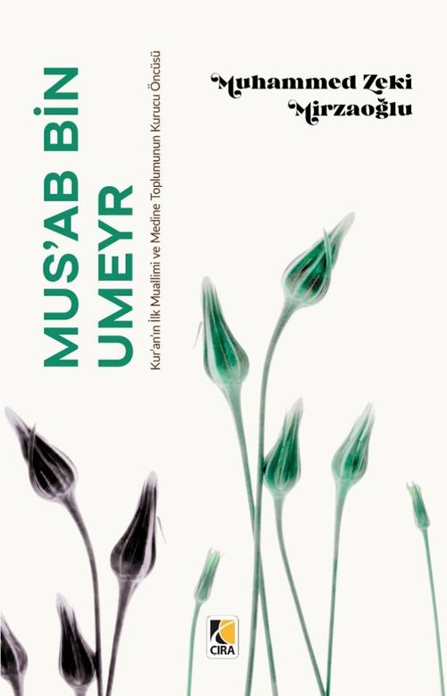 Mus'ab Bin Umeyr