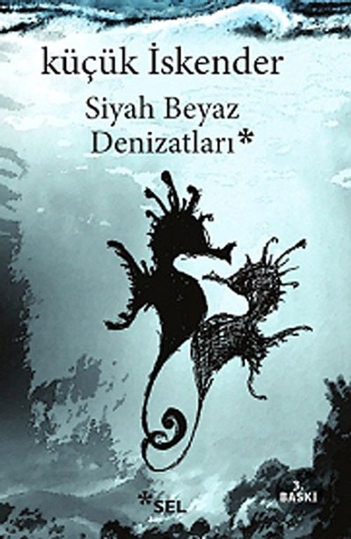 Siyah Beyaz Denizatları