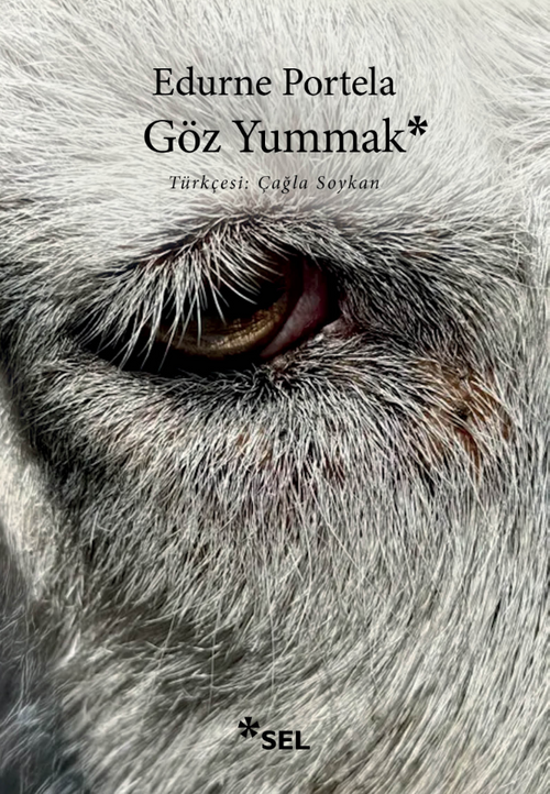 Göz Yummak