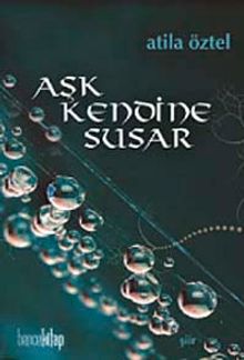 Aşk Kendine Susar