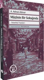Mazinin Bir Sokağında & İstanbul Yazıları