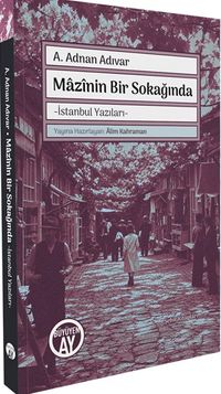 Mazinin Bir Sokağında & İstanbul Yazıları