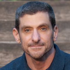 Amir Levine