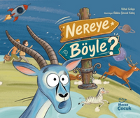 Nereye Böyle?