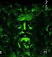 Kemal_Tahir33