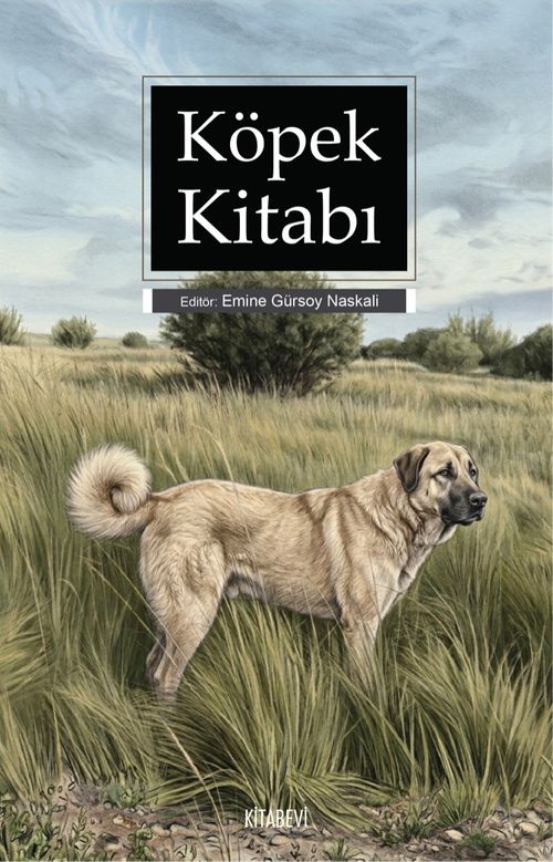 Köpek Kitabı