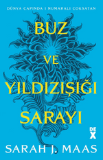 Buz ve Yıldızışığı Sarayı