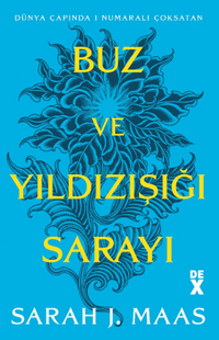 Buz ve Yıldızışığı Sarayı