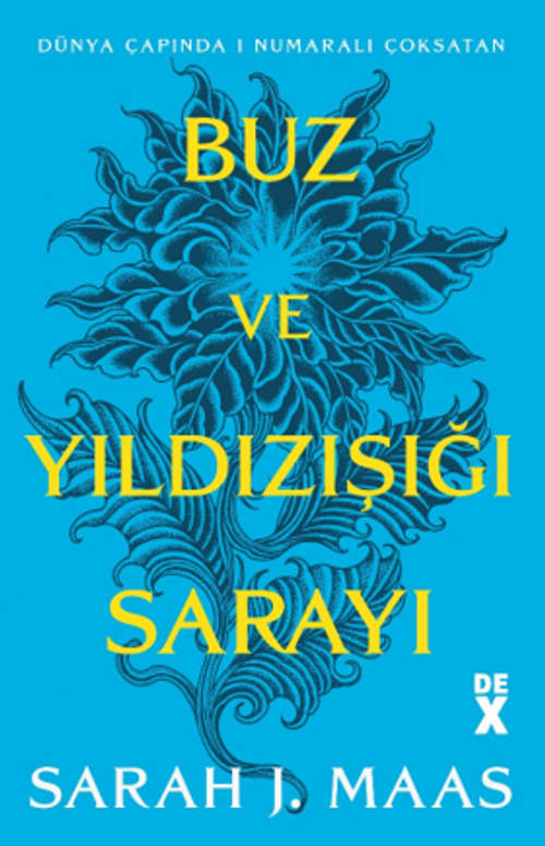 Buz ve Yıldızışığı Sarayı