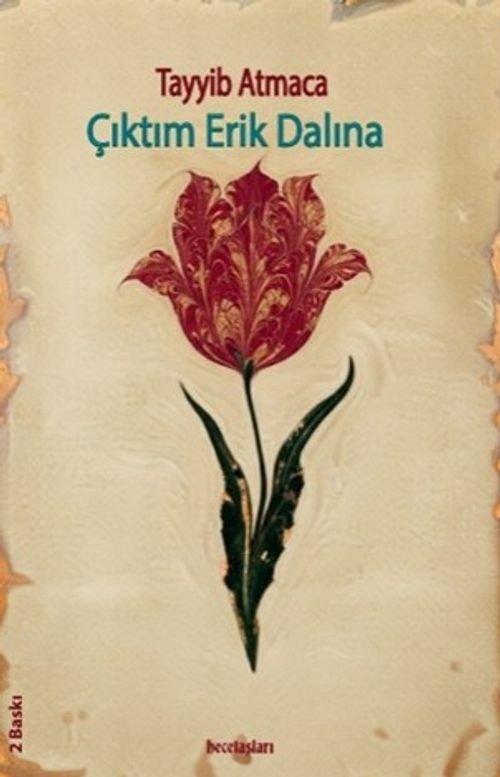 Çıktım Erik Dalına