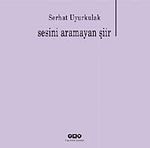 Sesini Aramayan Şiir