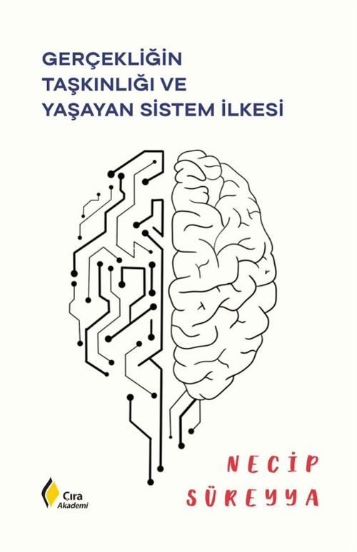 Gerçekliğin Taşkınlığı ve Yaşayan Sistem İlkesi