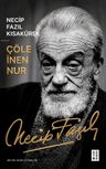 Çöle İnen Nur