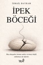 İpek Böceği