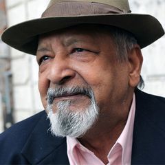 V. S. Naipaul