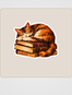 Onca Yoksulluk Varken Sticker Seti