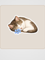 Belki Derdimize Çare Bir Çiçek Sticker Seti