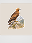 Hacı Murat Sticker Seti