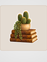 Li Terda Sticker Seti