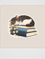 Vejetaryen Sticker Seti